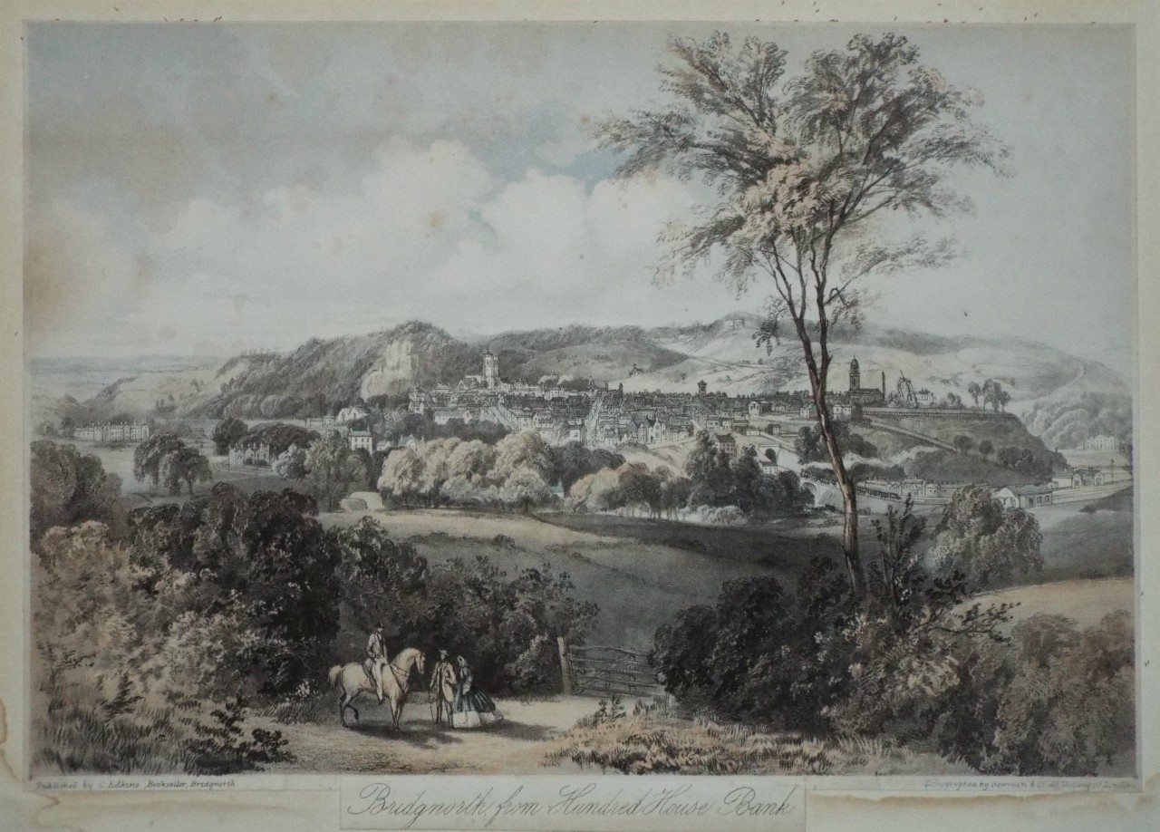 Lithograph - Bridgnorth, from the Hundred House Bank. - Newman